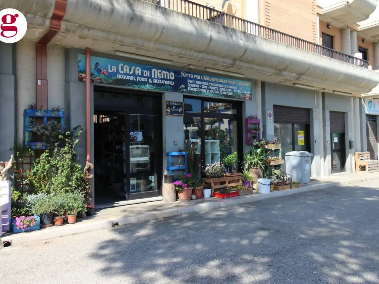 Negozio in Via Fellini 8, Vasto, {3} - Foto 2