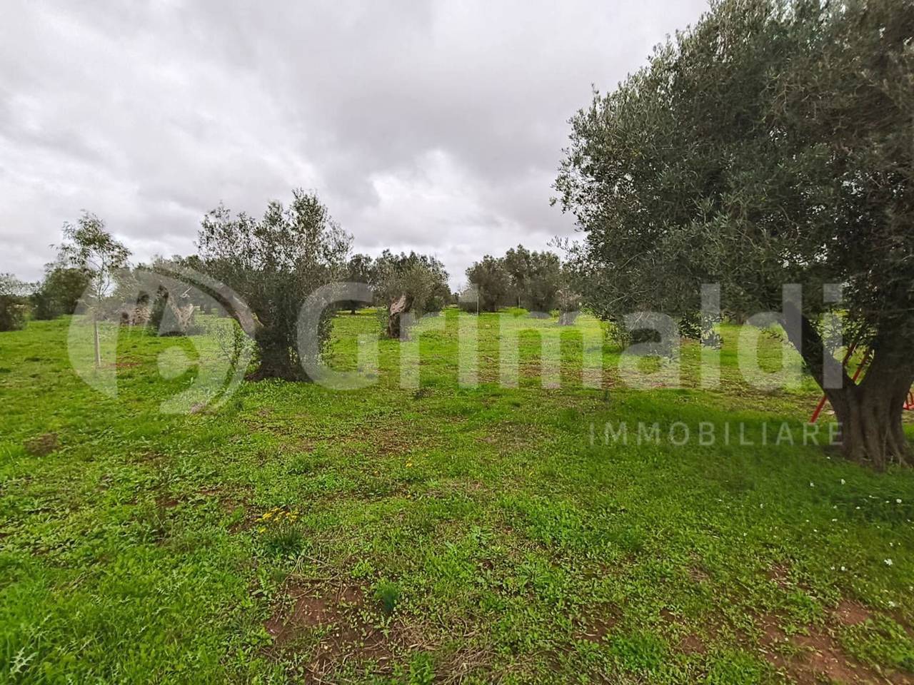 immagine annuncio 7 di 9