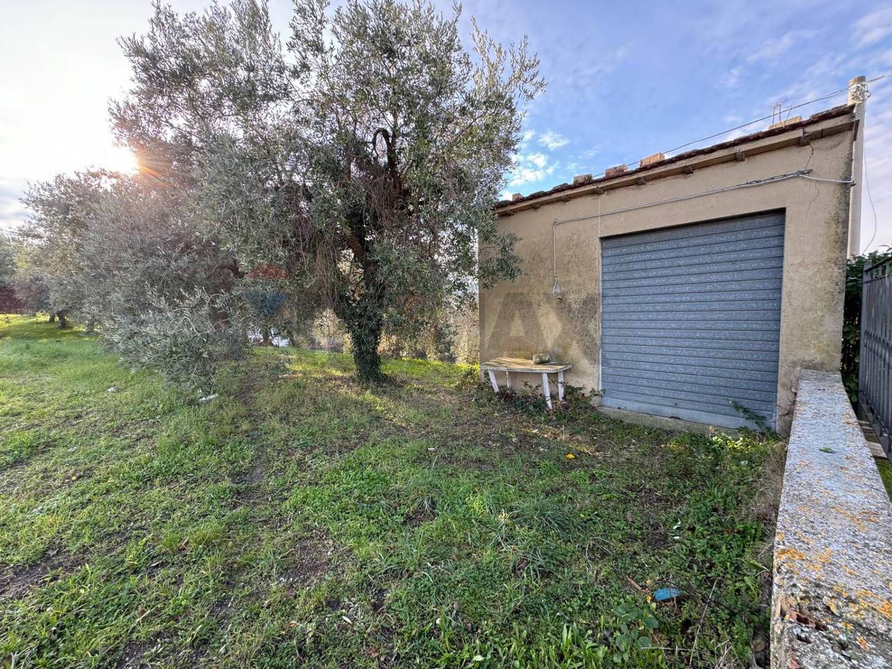 immagine annuncio 8 di 12