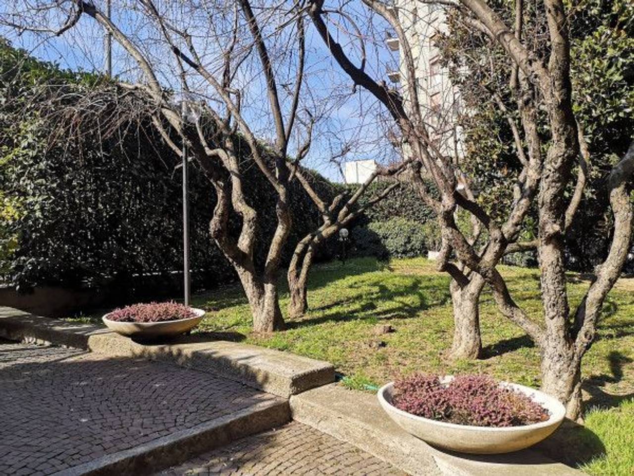 immagine annuncio 3 di 13