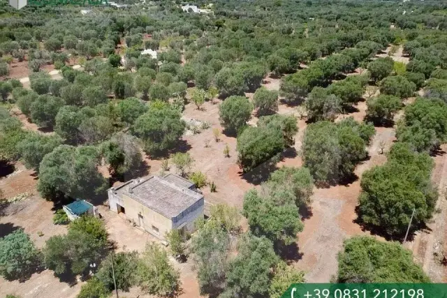 Villa in Contrada Parco Monsignore, Ostuni - Foto 1