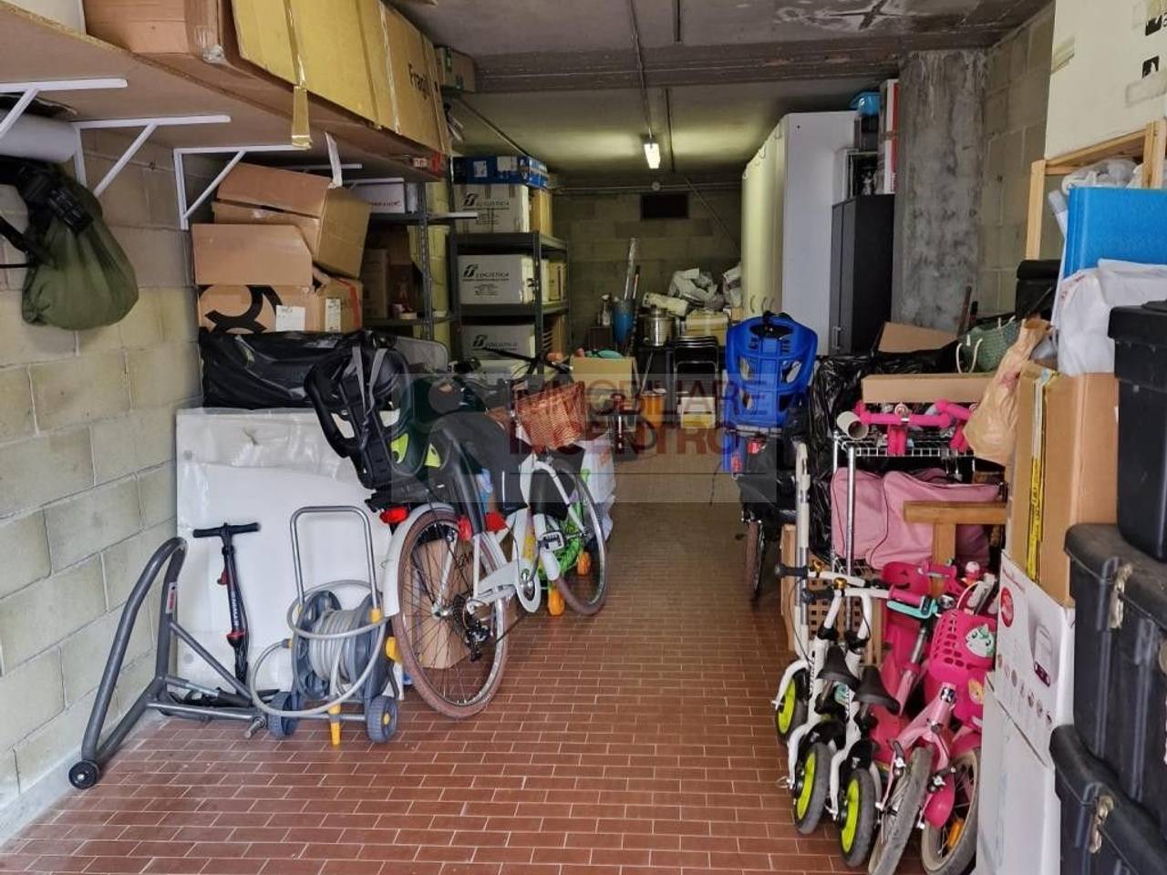 immagine annuncio 12 di 14