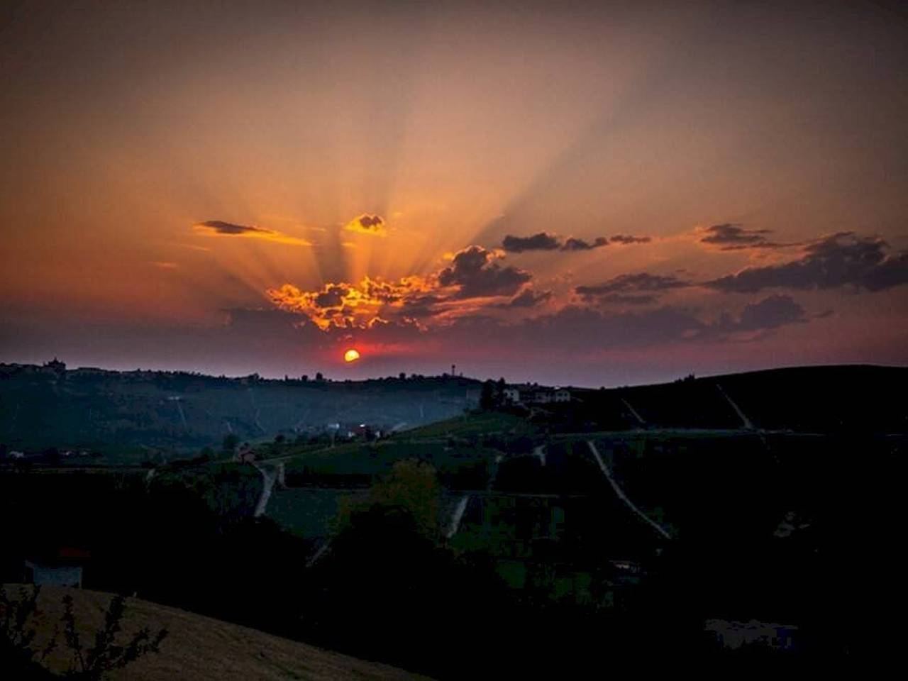 immagine annuncio 6 di 14