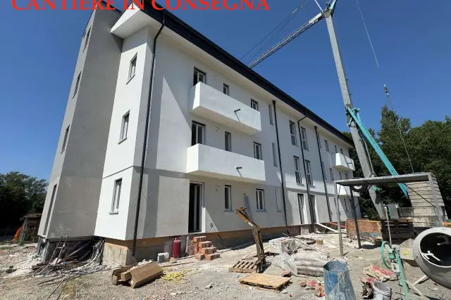 insertion image