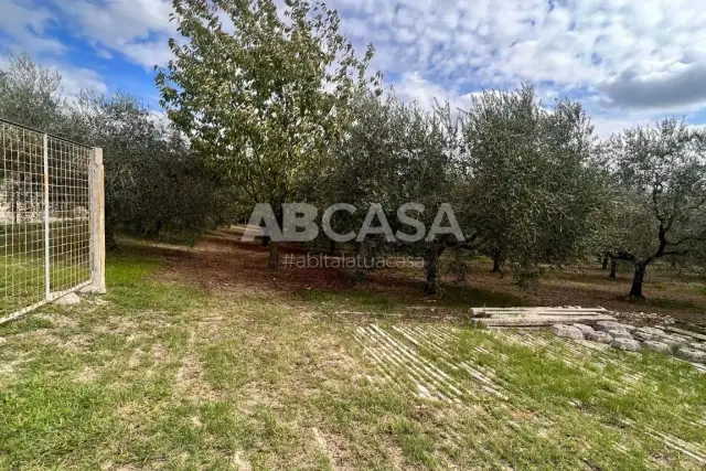 Agricultural land in Via Appia Sud, Velletri - Photo 1