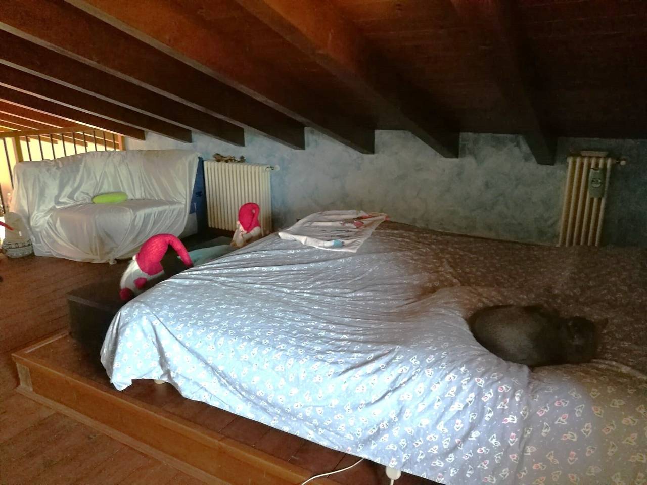 immagine annuncio 5 di 7