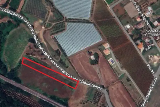 insertion image