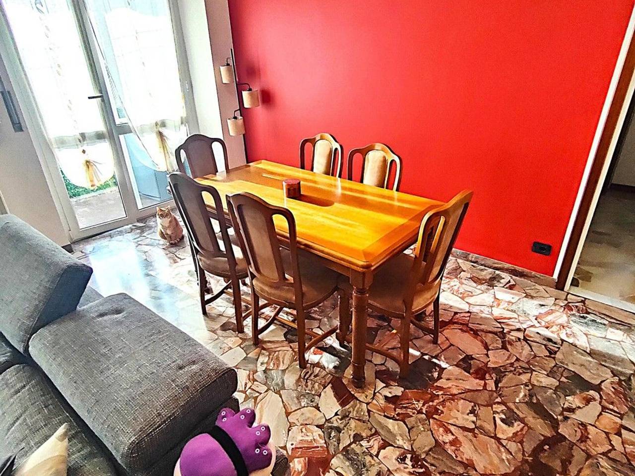 immagine annuncio 7 di 15