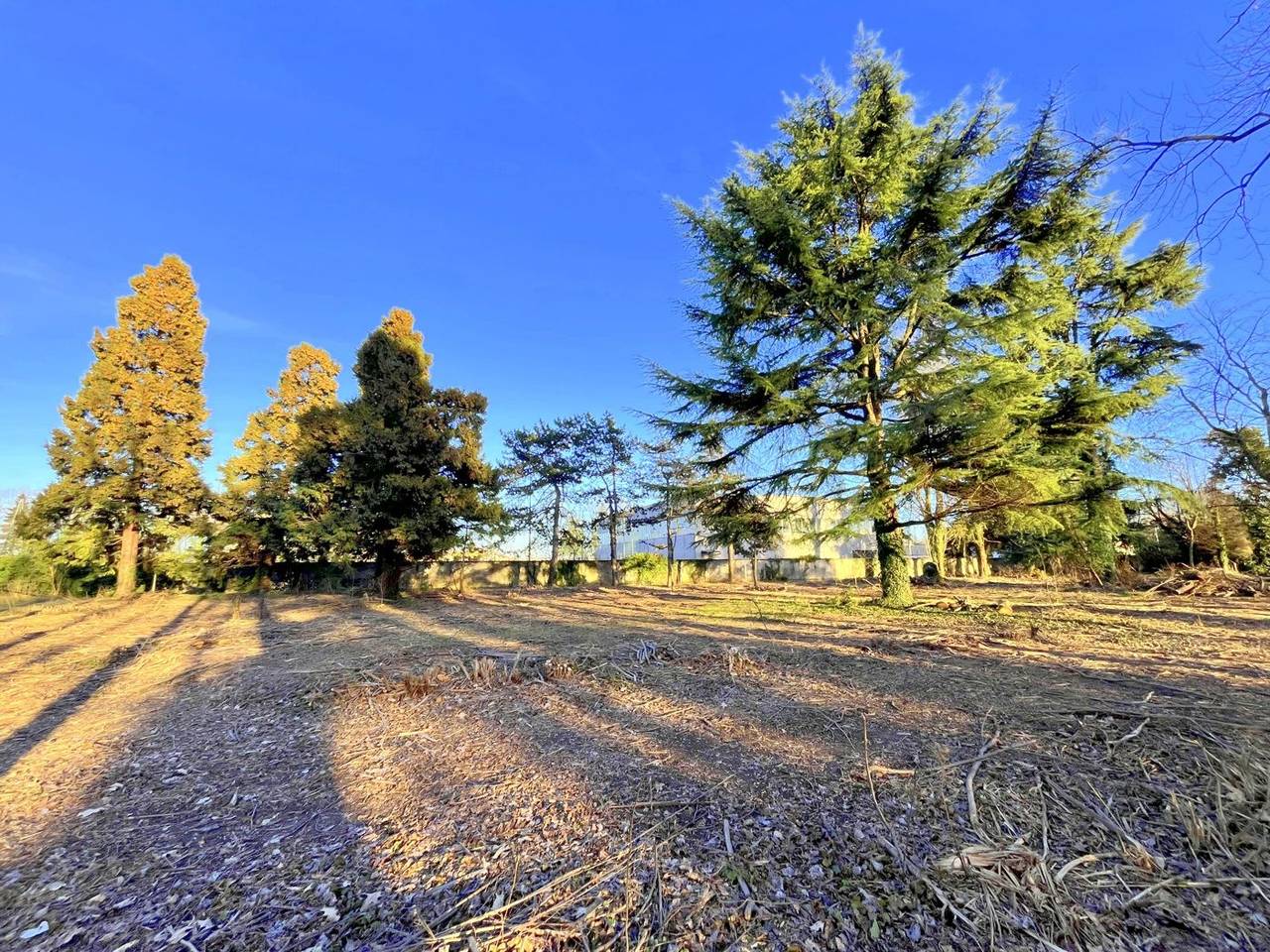 immagine annuncio 2 di 4