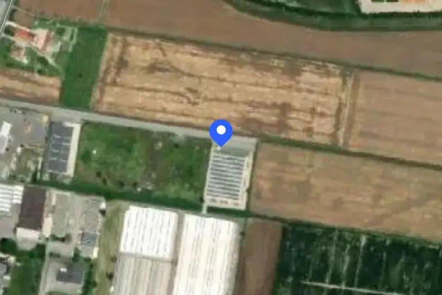 insertion image