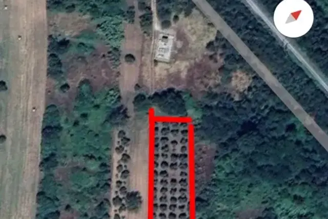 insertion image