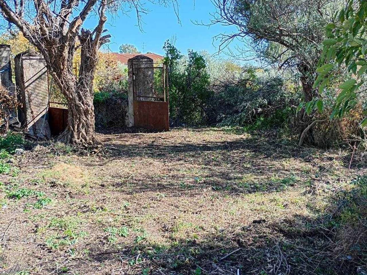 immagine annuncio 13 di 14