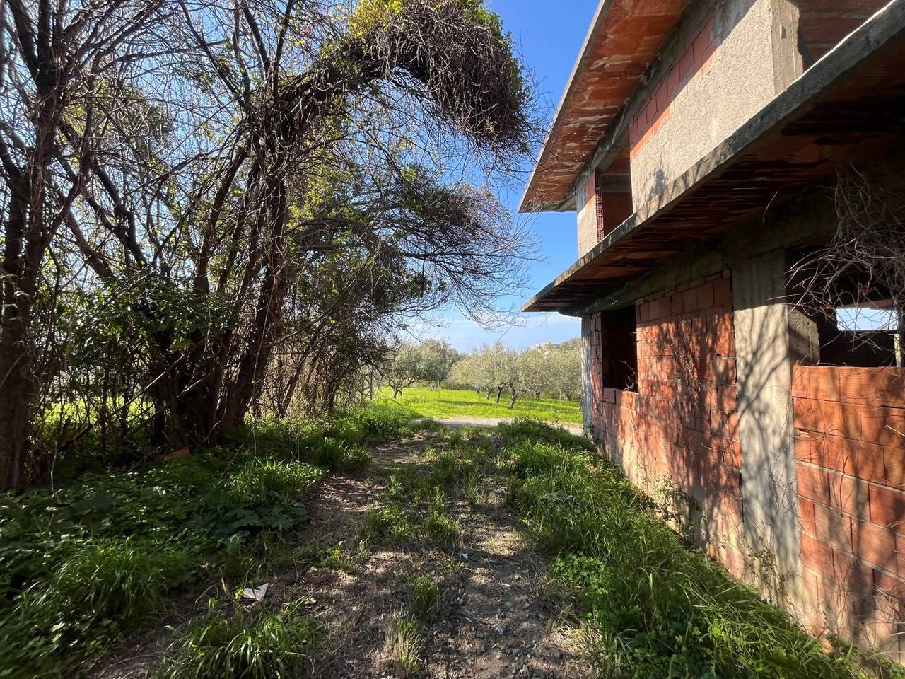 immagine annuncio 1 di 6