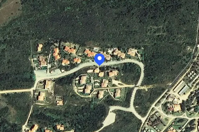 insertion image
