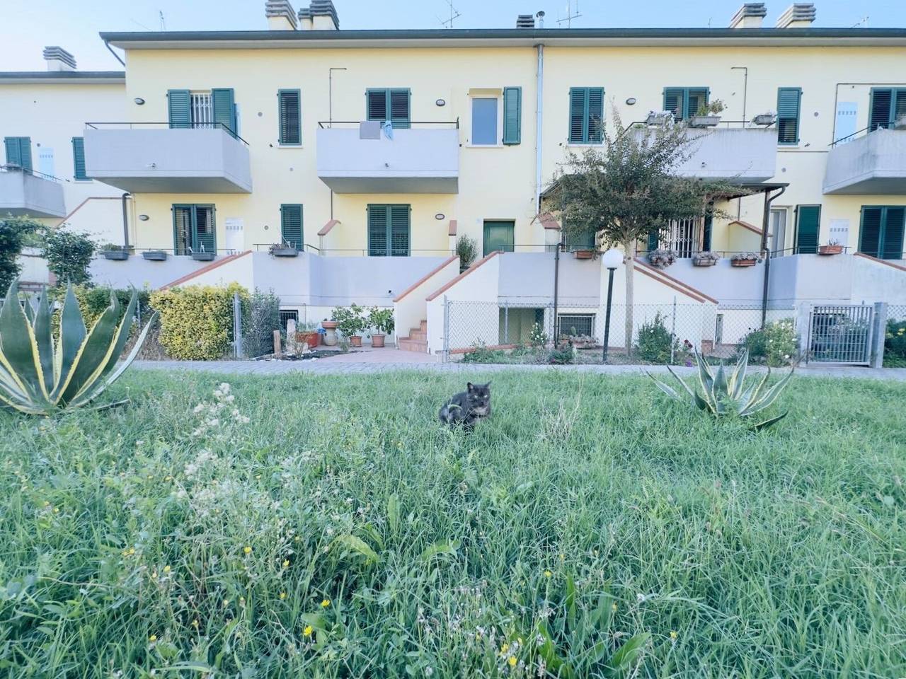 immagine annuncio 7 di 15
