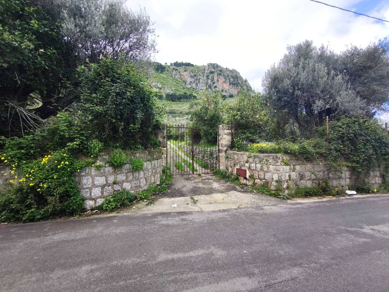 immagine annuncio 4 di 6