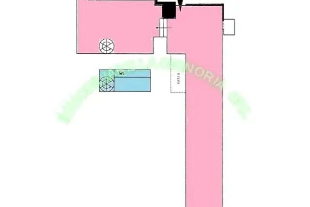 insertion image
