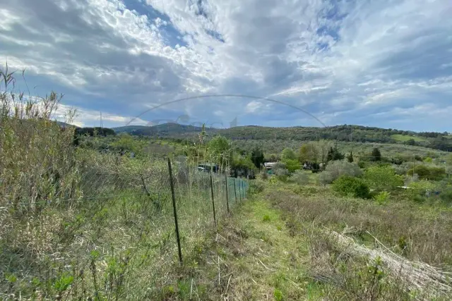 Agricultural land, Livorno - Photo 1