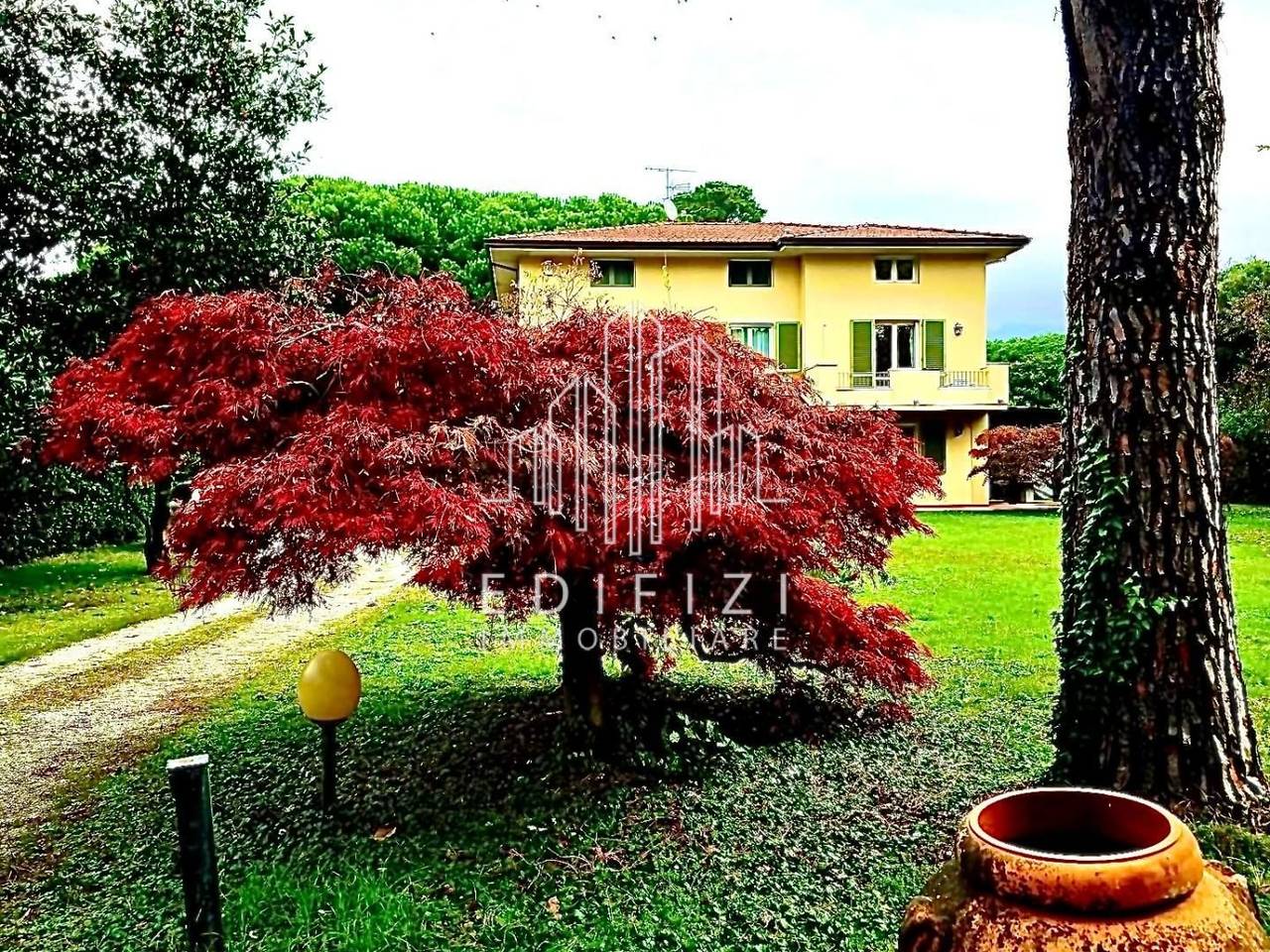 immagine annuncio 11 di 12