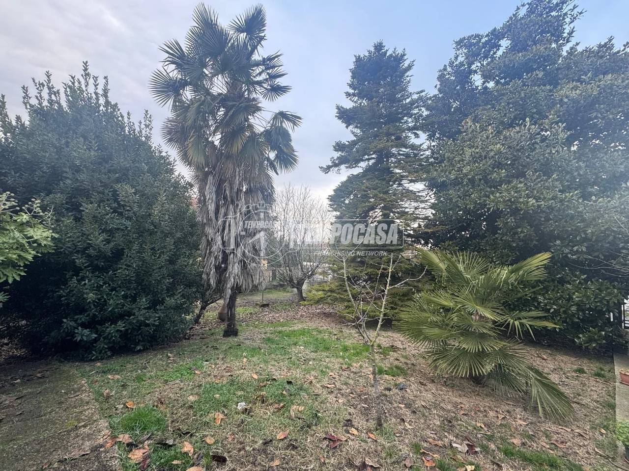 immagine annuncio 9 di 14