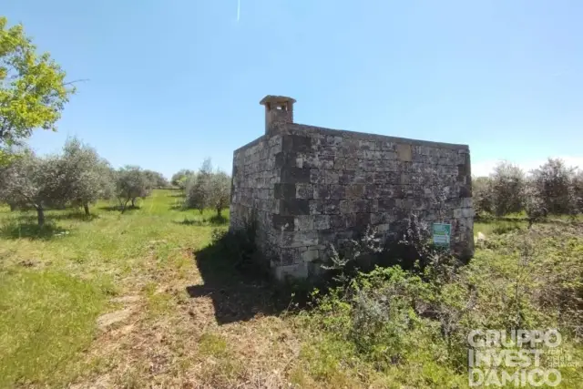 Landhaus in Contrada San Salvatore, Ostuni - Foto 1