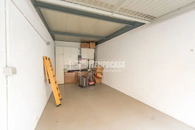 insertion image