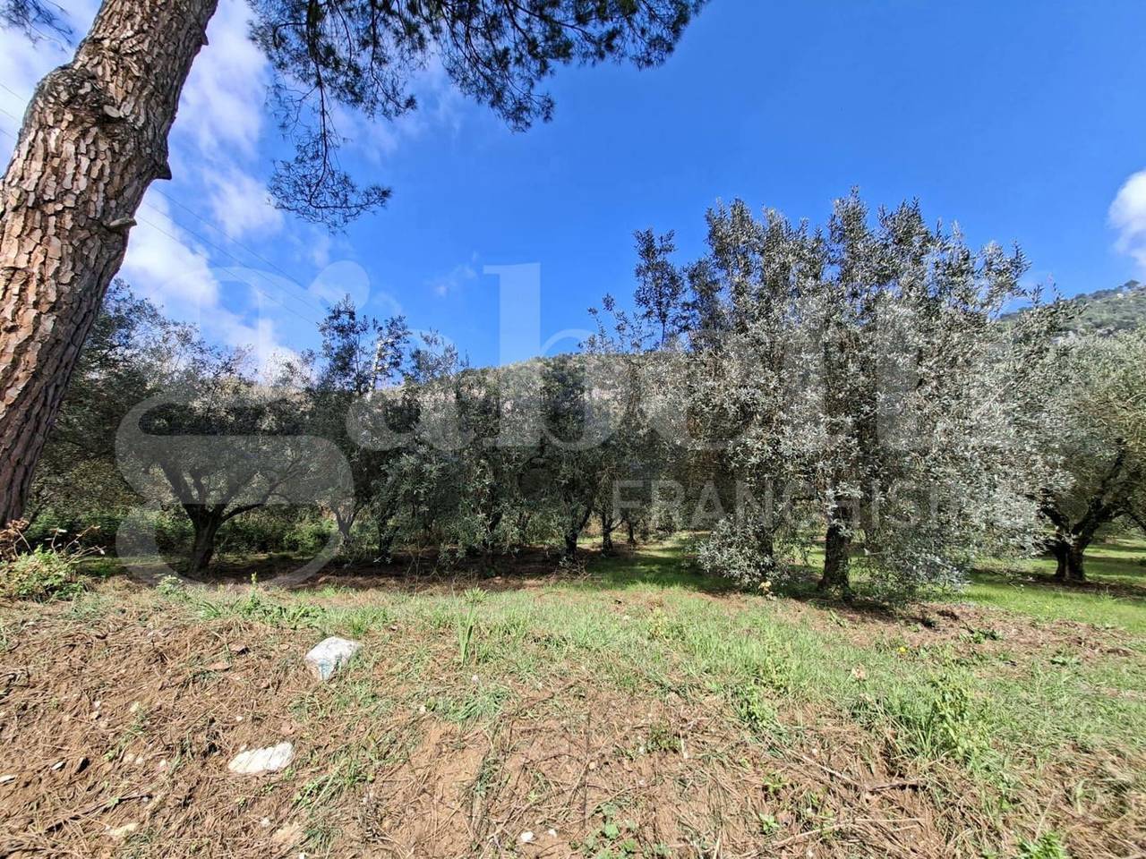 immagine annuncio 1 di 3