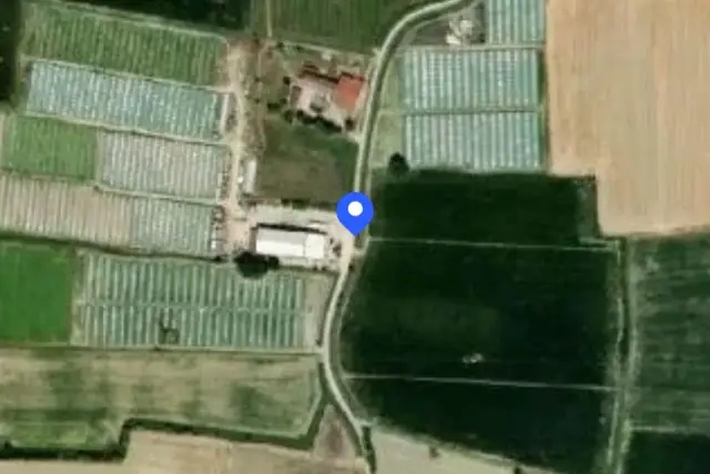 insertion image