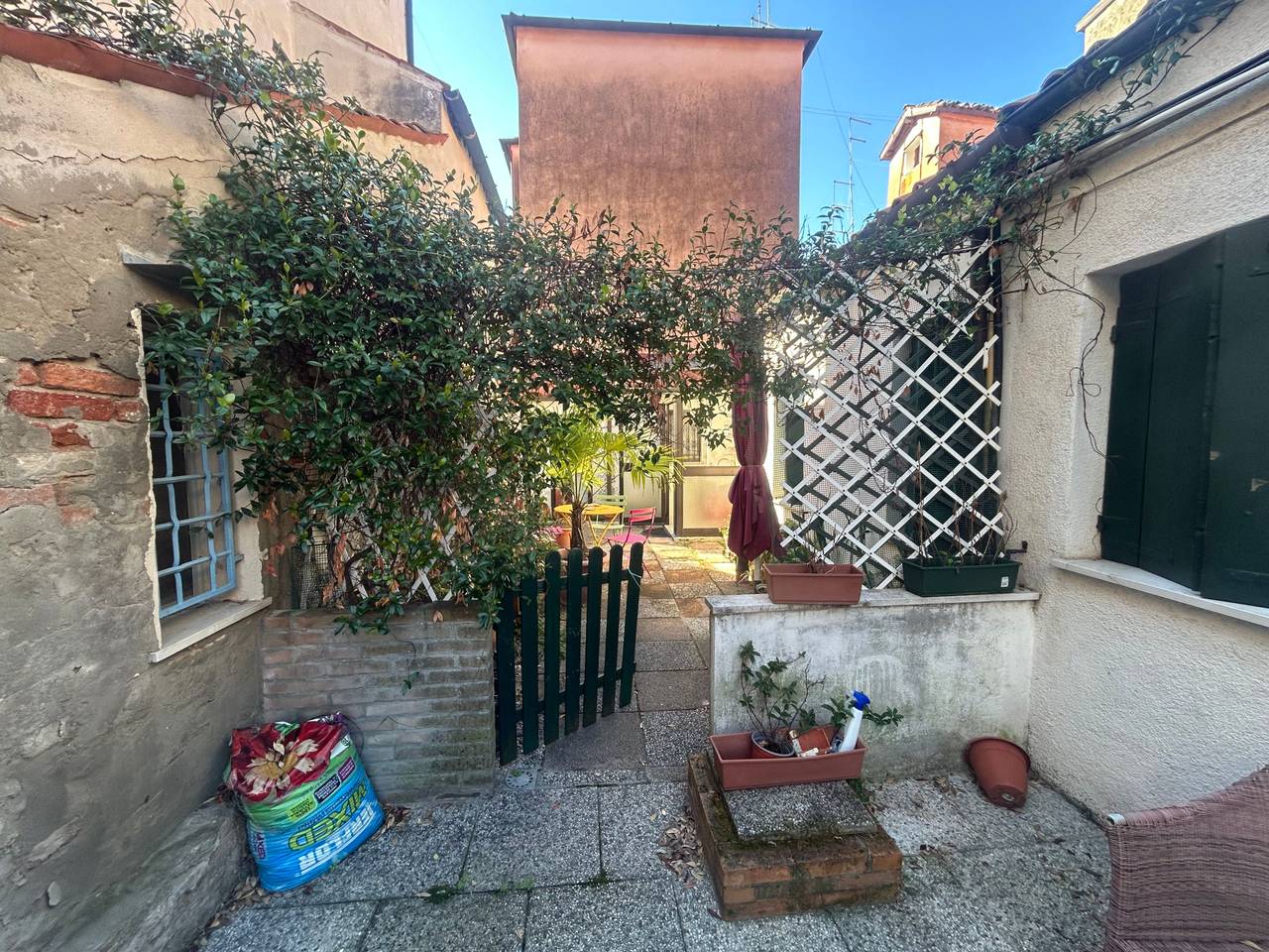 immagine annuncio 5 di 12