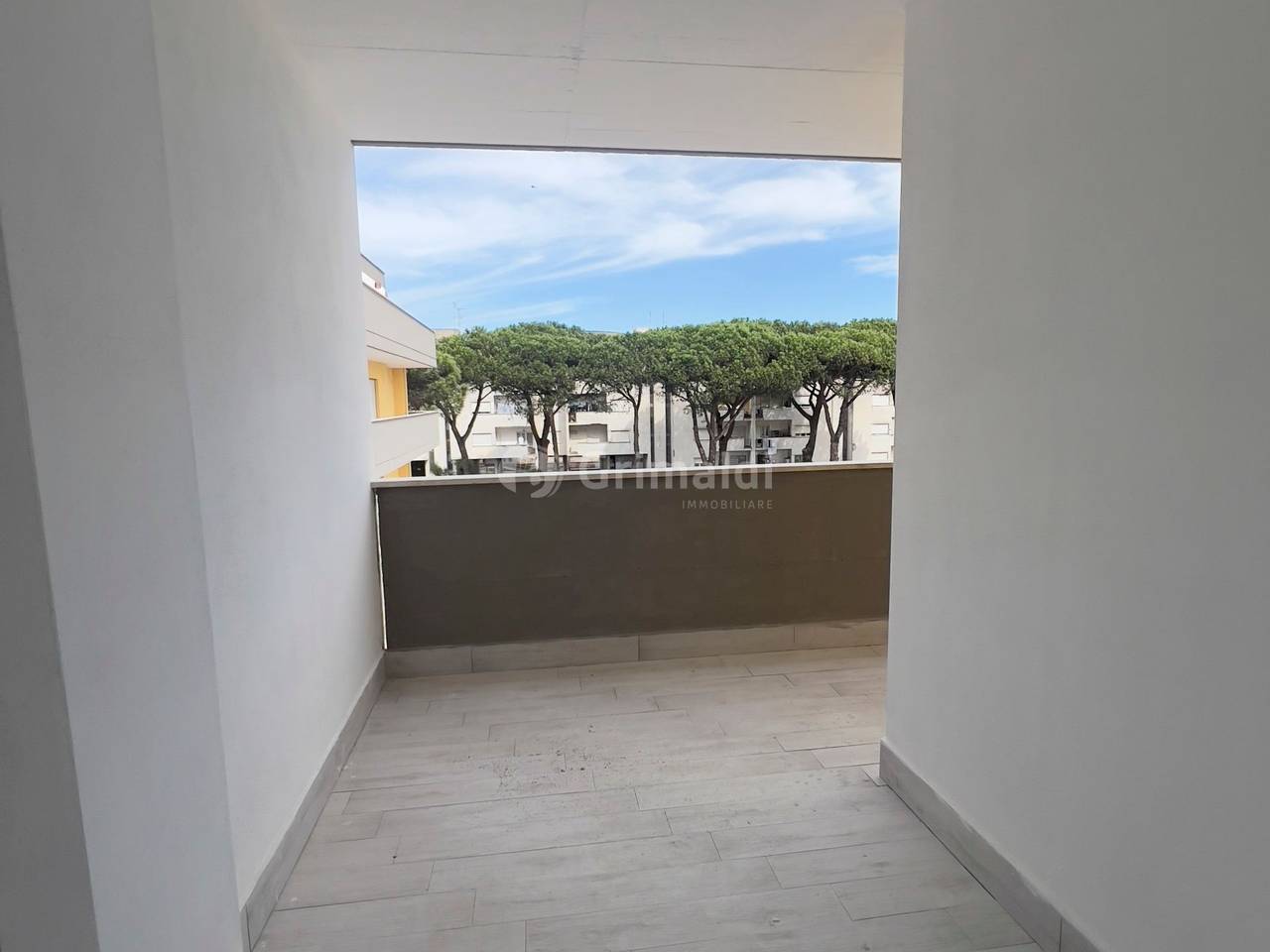 immagine annuncio 3 di 8