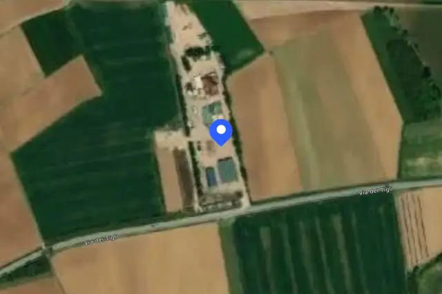 insertion image