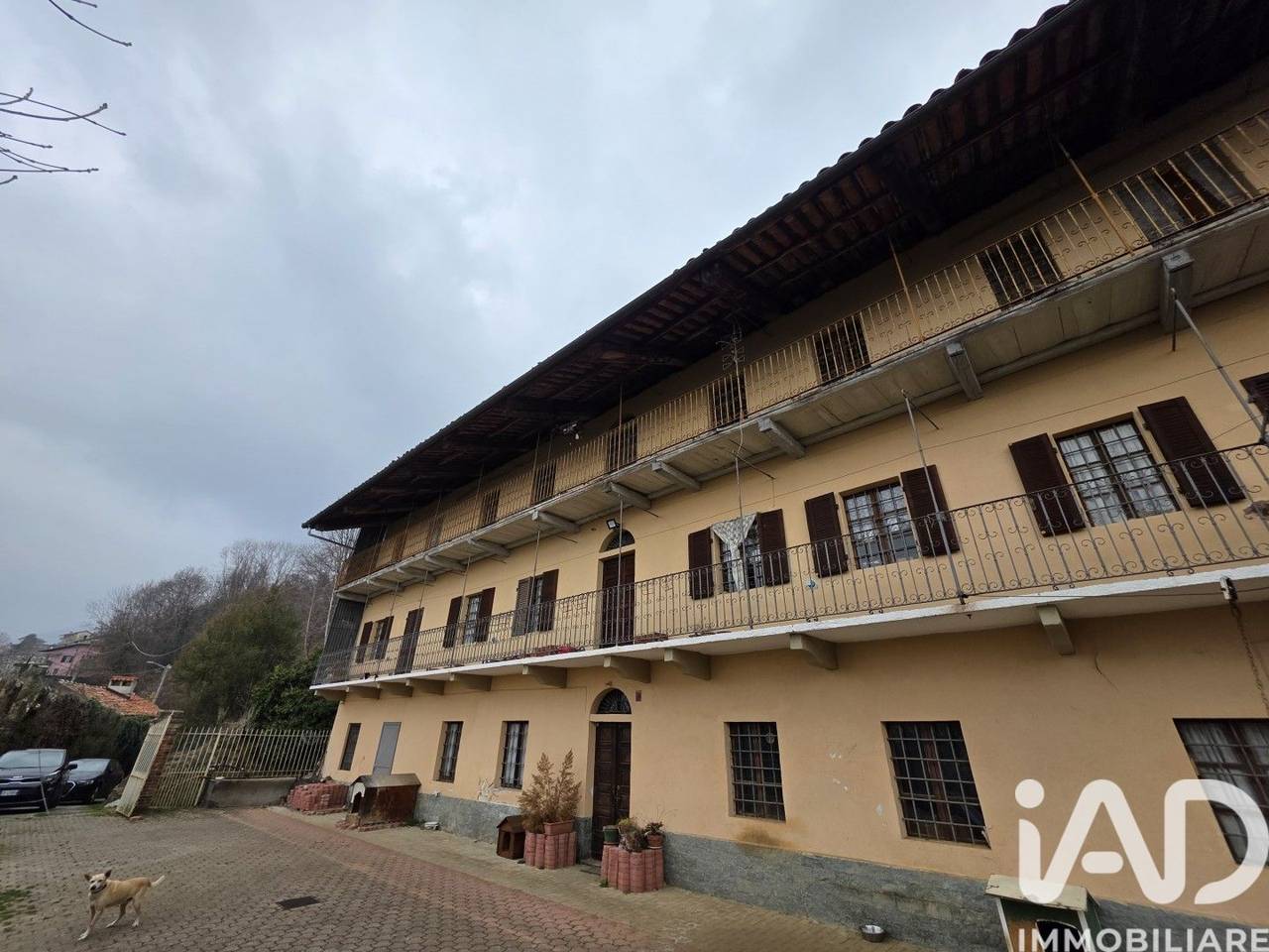 immagine annuncio 3 di 15