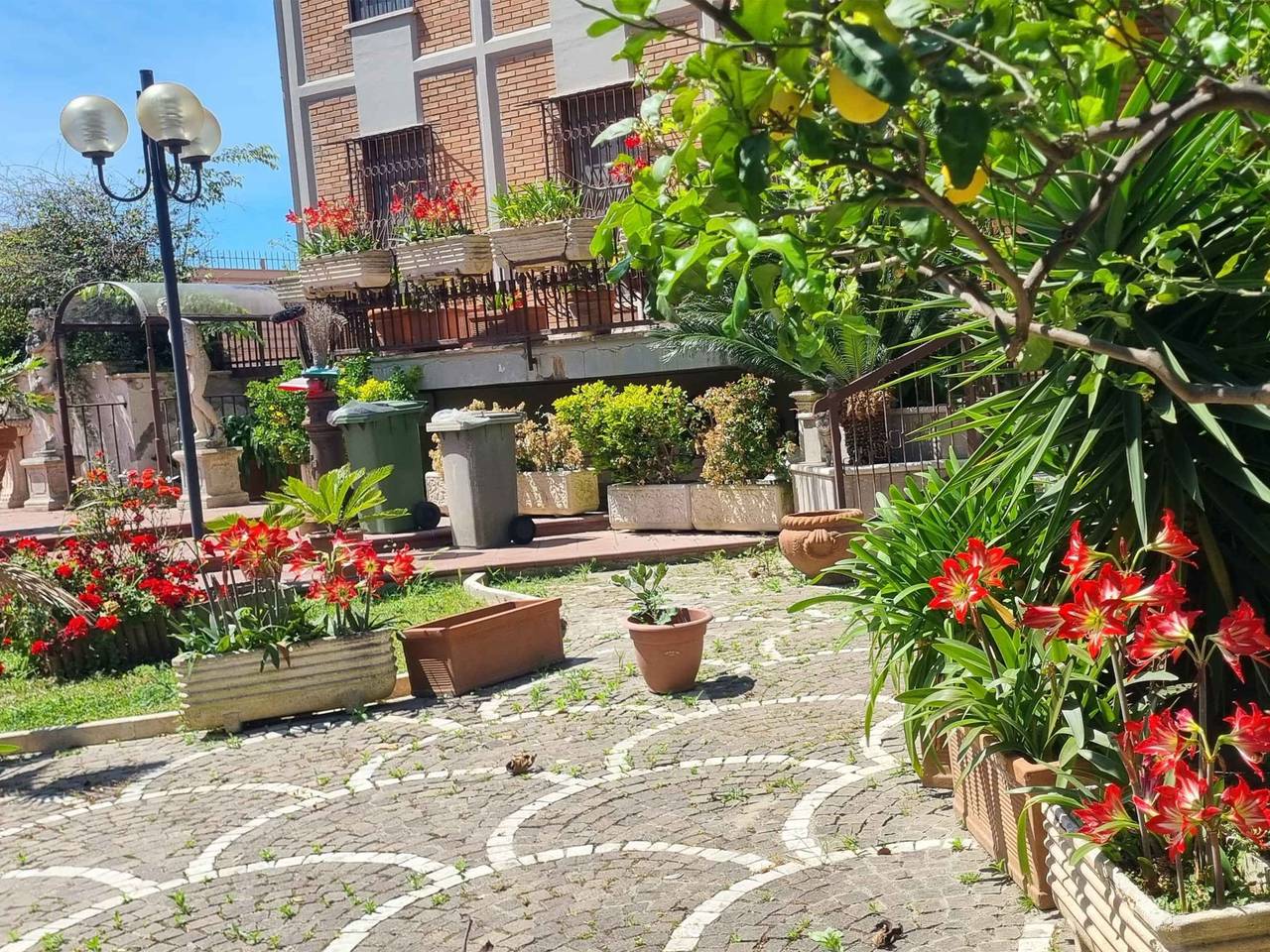 immagine annuncio 2 di 15