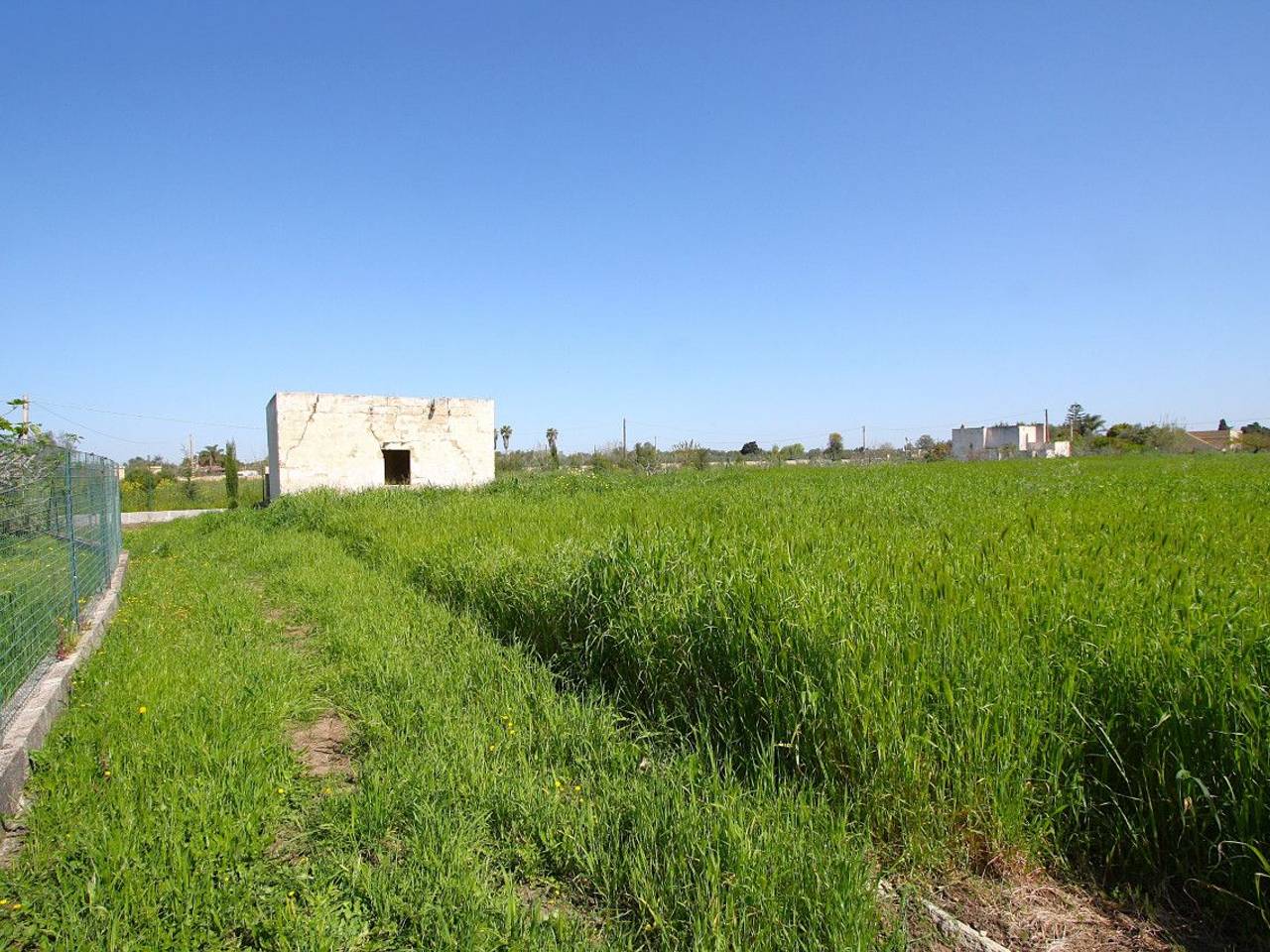 immagine annuncio 6 di 15