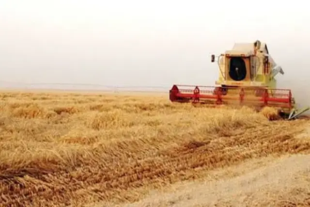 Terreno agricolo in Via Vestina, Montesilvano - Foto 1