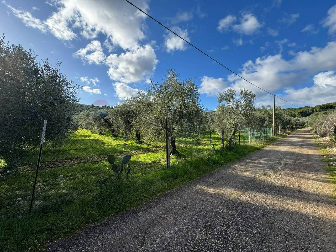 immagine annuncio 6 di 12