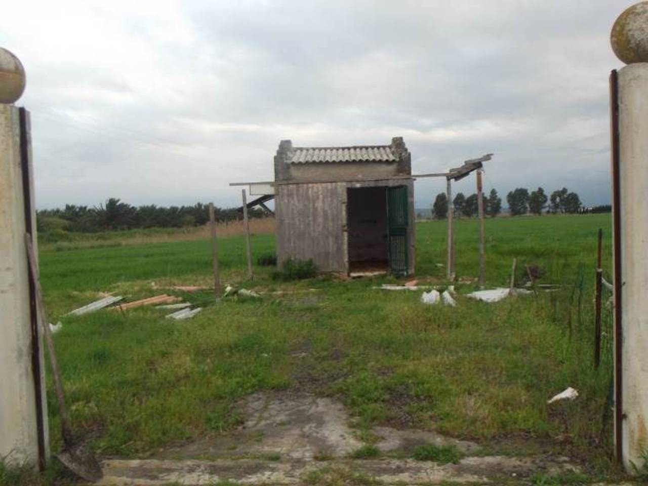 immagine annuncio 5 di 11