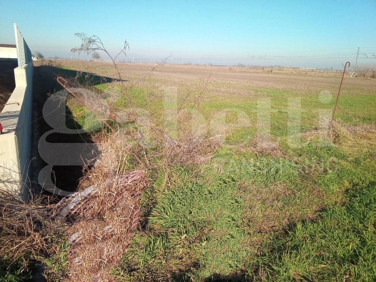 immagine annuncio 5 di 12