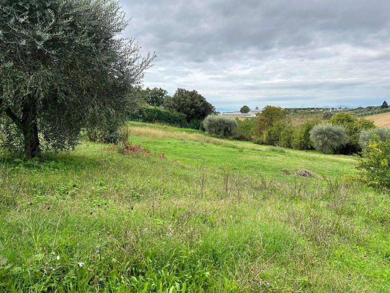 immagine annuncio 7 di 11