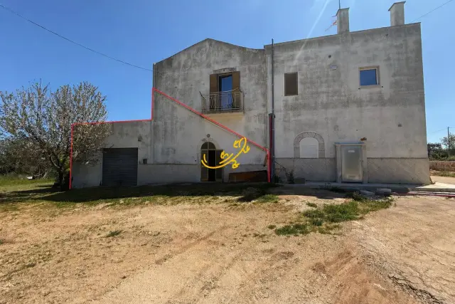 insertion image