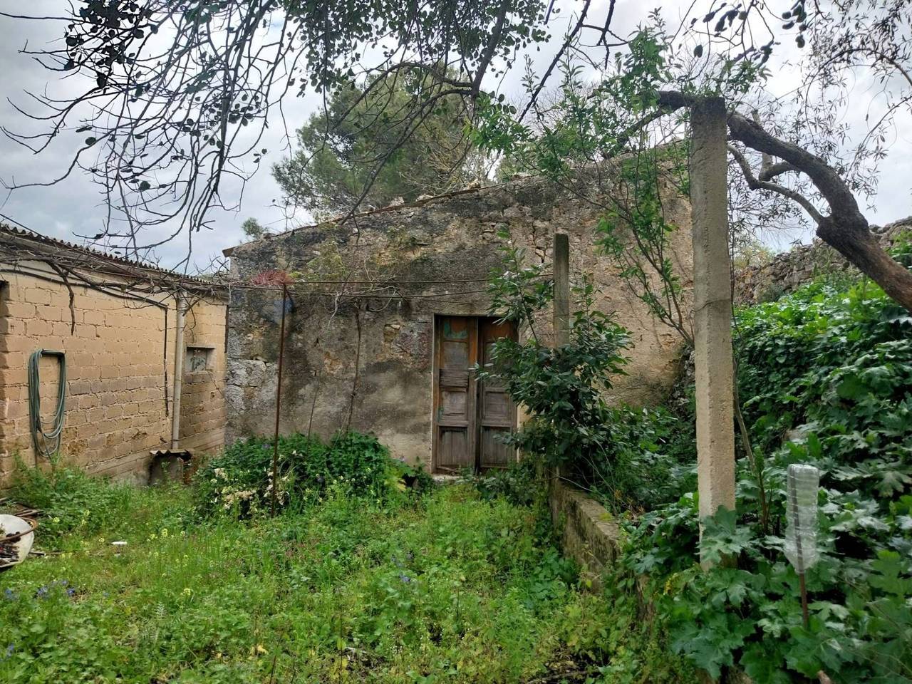 immagine annuncio 2 di 11