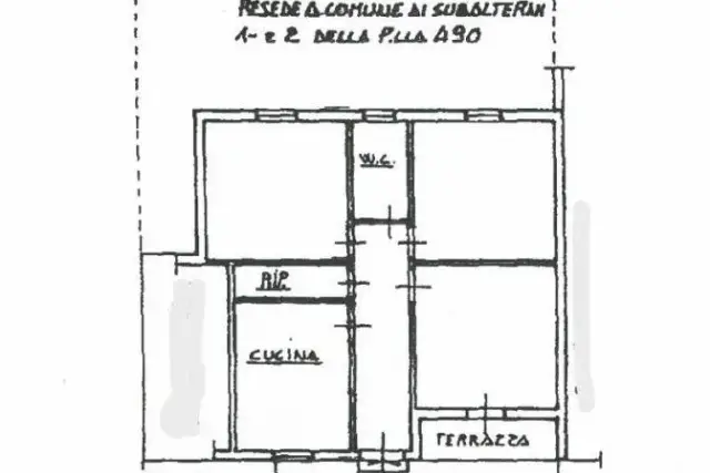 insertion image