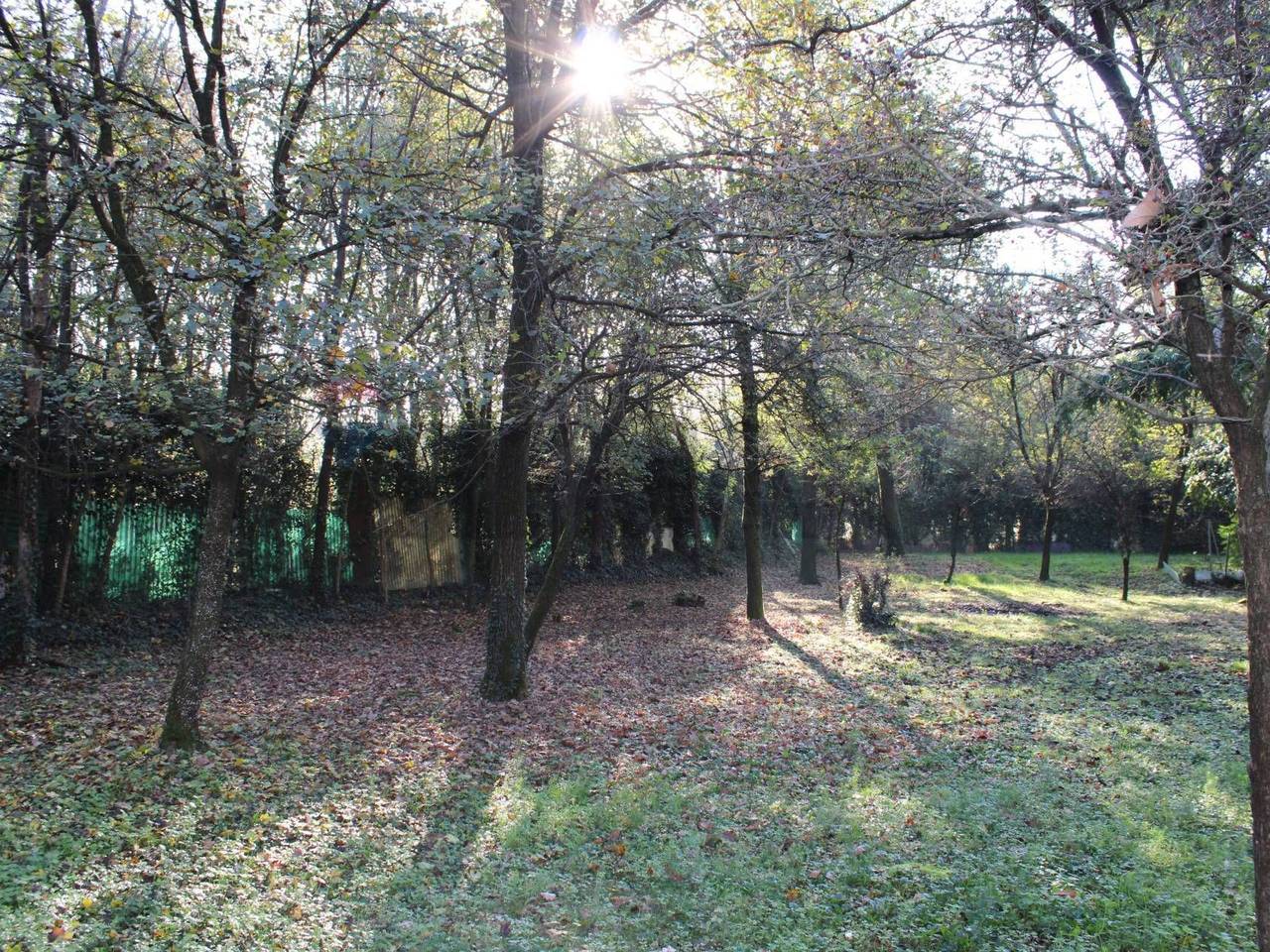 immagine annuncio 10 di 14