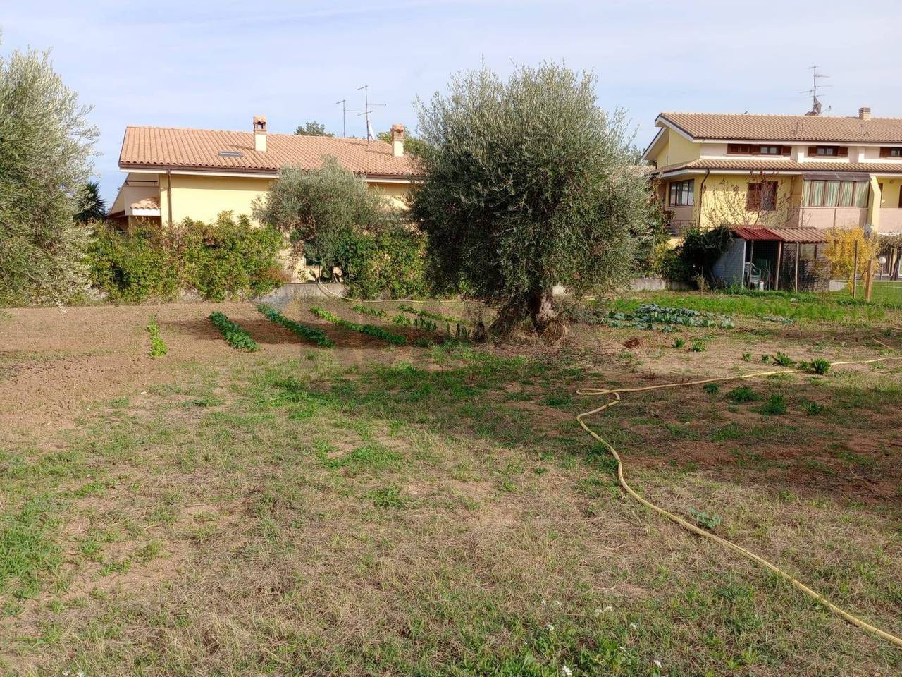 immagine annuncio 1 di 7