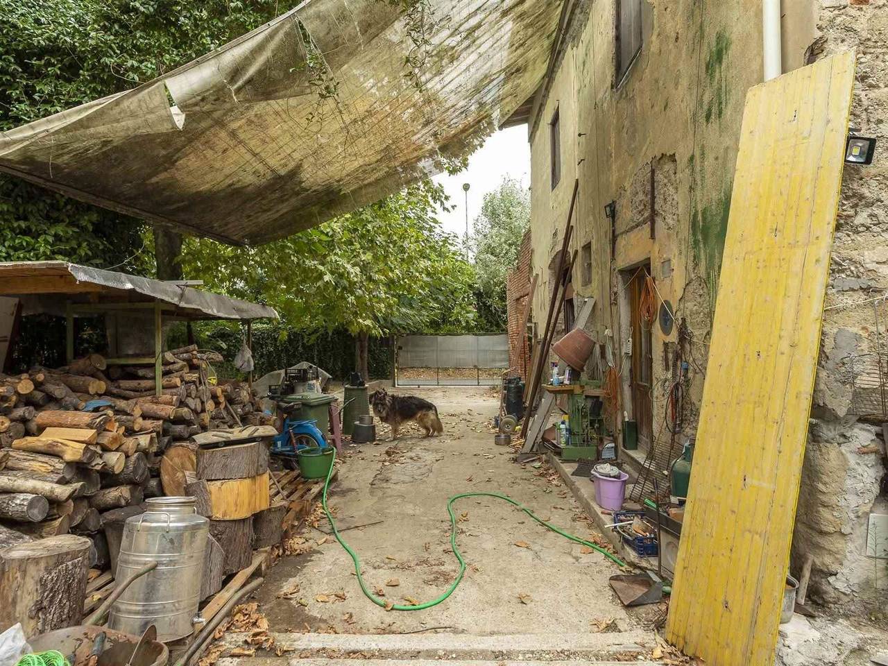 immagine annuncio 10 di 15