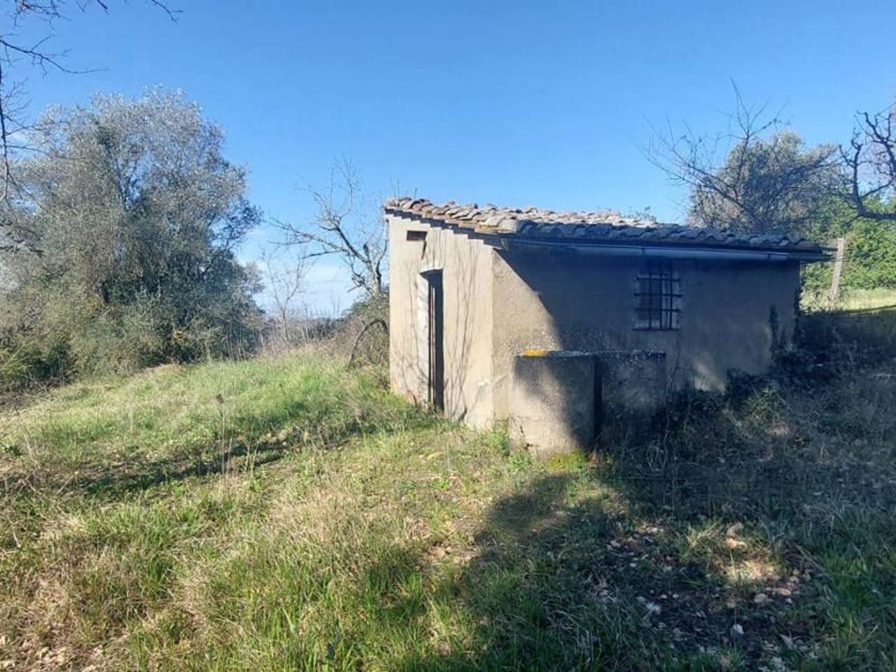 immagine annuncio 3 di 9