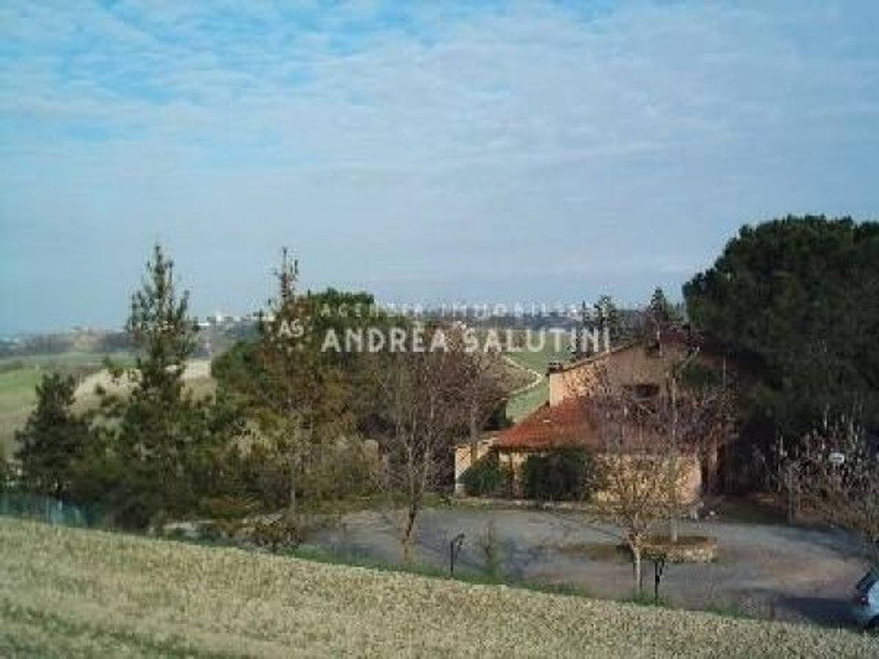 immagine annuncio 8 di 13