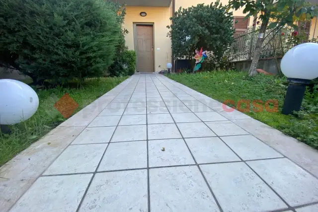 insertion image