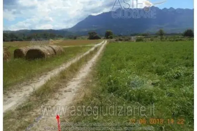 insertion image