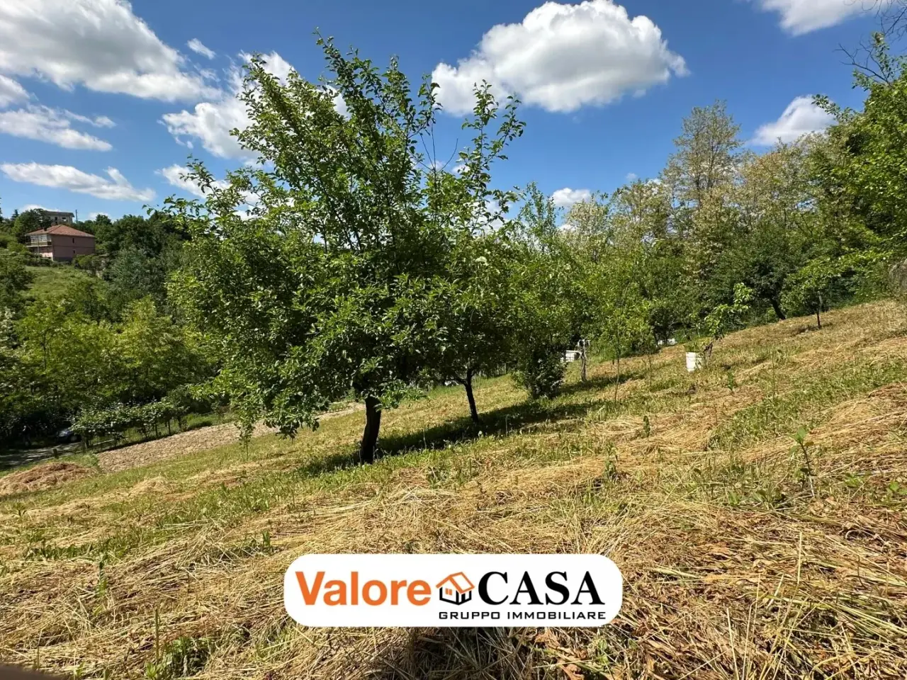 Magazzino in , Visone, {3} - Foto 1